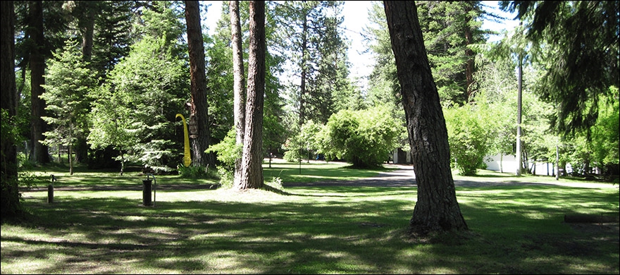 Pine Shadows Grounds