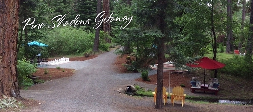Pine Shadows Getaway