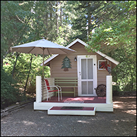 Little Benson Cabin - Pine Shadows Getwaway